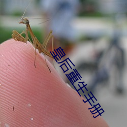 皇后重生手册