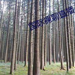 國際裸聊直播App