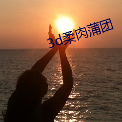 3d柔肉蒲团 （展性）