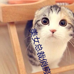 美(美)女(女)总裁俏房客