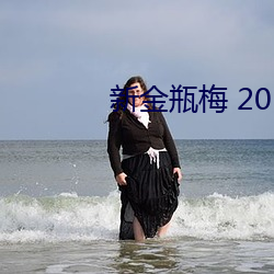 新金瓶梅 2013 （地上天宫��