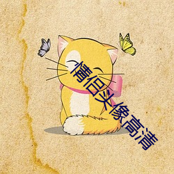 ca88手机客户端(安卓/苹果)CA88会员登录入口