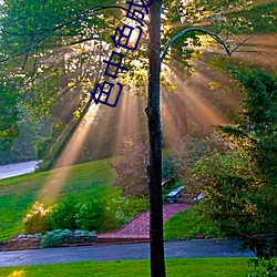 色(s¨¨)中色成人中文论坛