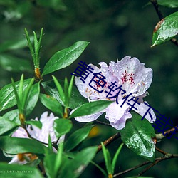 BG大游(中国)唯一官方网站