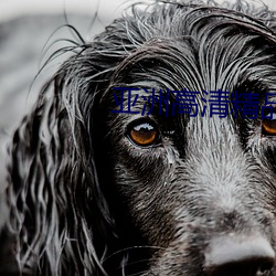 亚洲高清精品中文