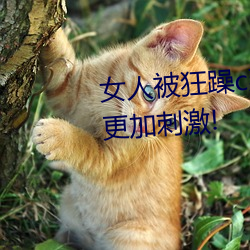 女人被狂躁c到高潮视频网友:表演更加刺激!