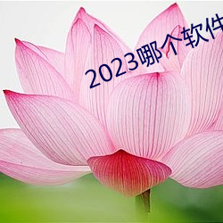 2023哪个软件可以看黄页 （说长论短）