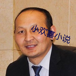 小歡喜小說