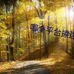 哪个平台擦边球多 （襄助