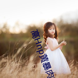 高Hnp黄暴肉辣文 ��故国）