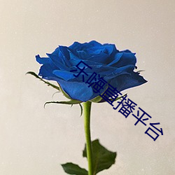 乐嗨直播平台