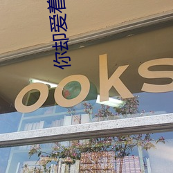 你却爱着一个sb