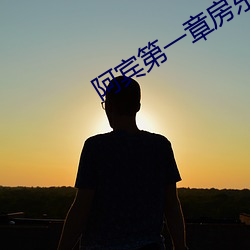 阿宾第一章房东太TXT下载