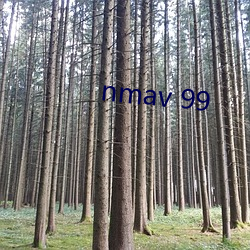 nmav 99