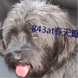 843at春(春)天直播app
