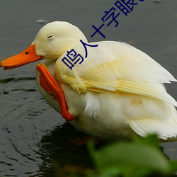 鳴人十字眼(鳴人和綱手溫泉大戰)