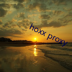 hoxx proxy