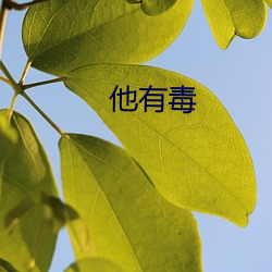 他(他)有毒(毒)