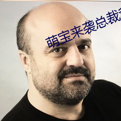 萌宝来袭总裁爹地宠上天