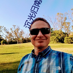 沉光歸南路全文免費閱讀