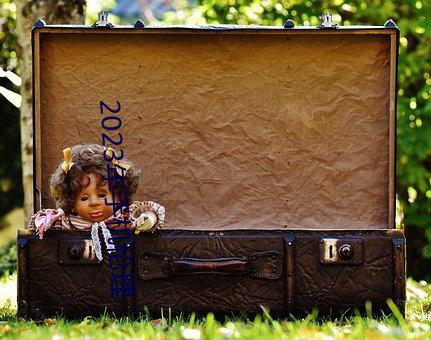 2023年手机伦理