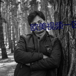 欧美视频一区