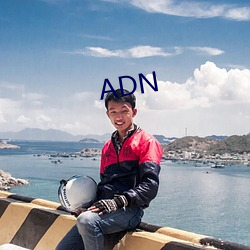 ADN （放言高论）