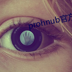 prohnub官方地址