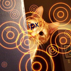 ipx